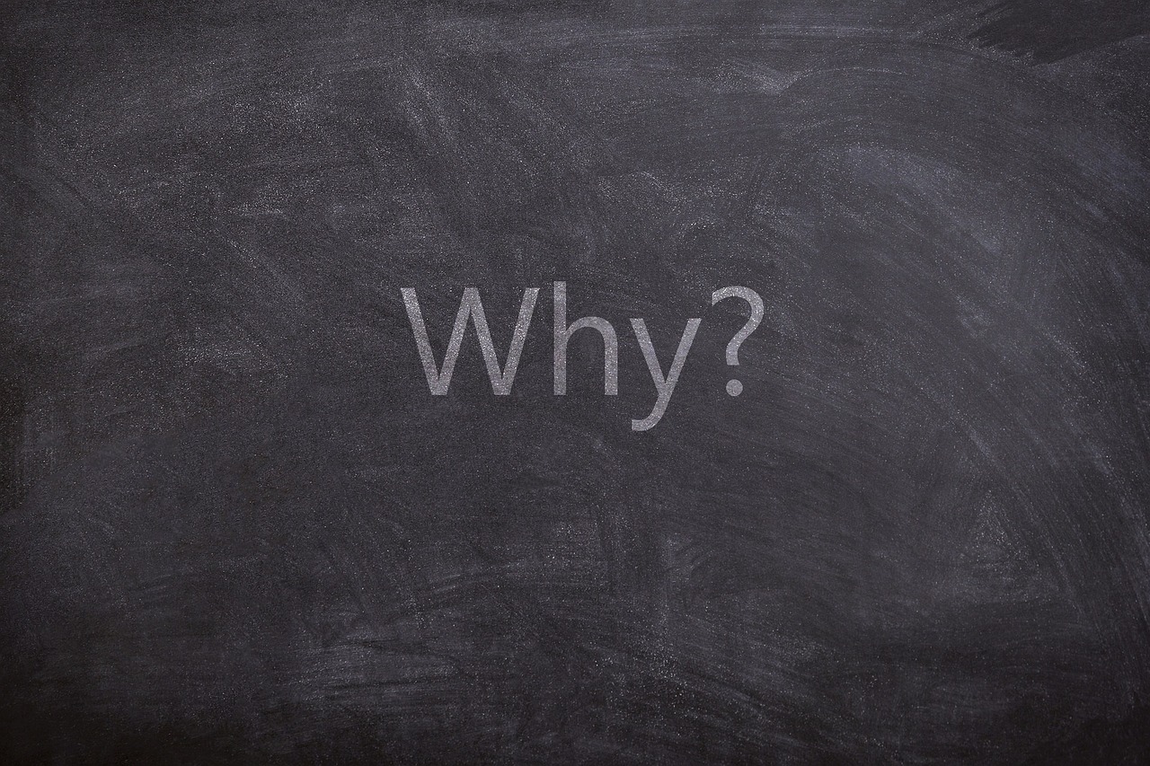 why, questions, text, chalkboard, texture, white, gray question, why, why, why, why, why